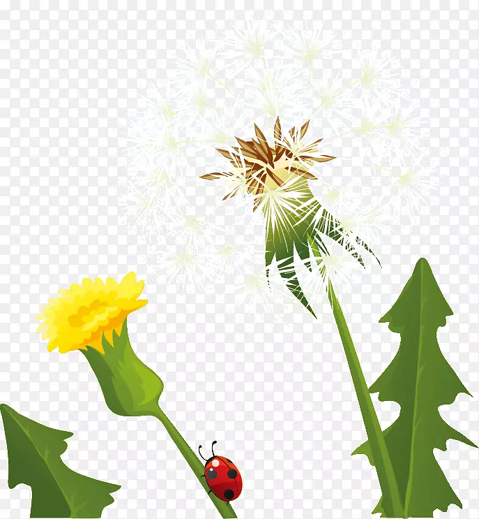 �ѹ�Ӣͼ�β�ͼͼ���ѹ�Ӣ-������