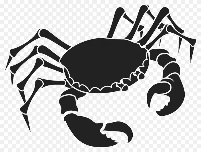 ��֢ռ��ѧ�����Ƶ�ռ�����з-������