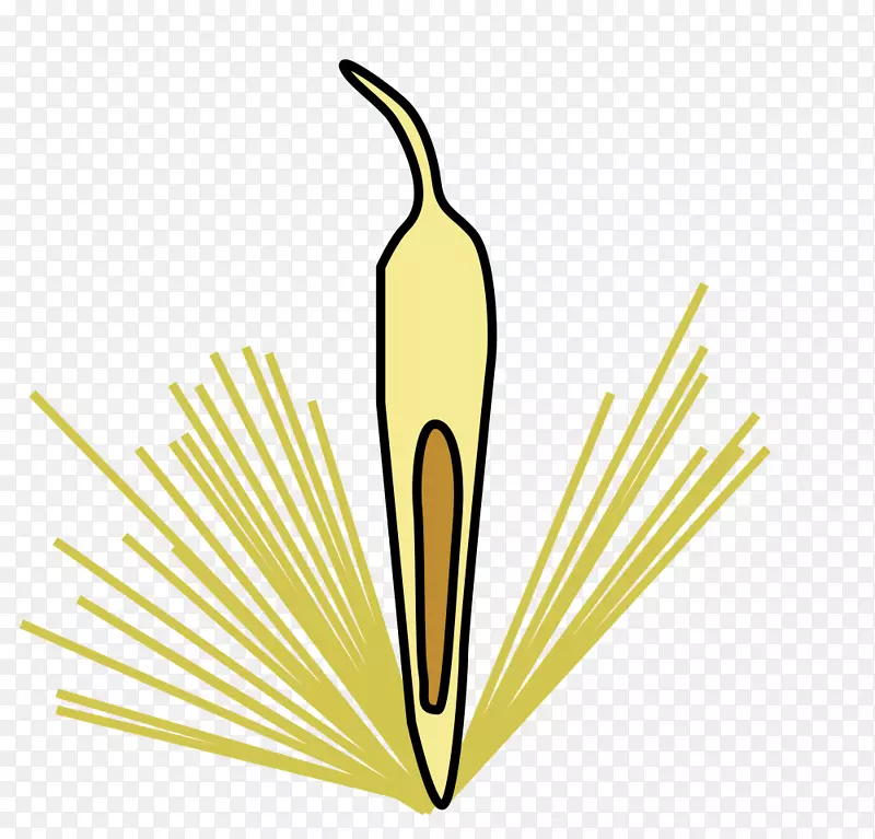 ��������ƷҶ�ݲ�Ʒ���-Ҷ-������