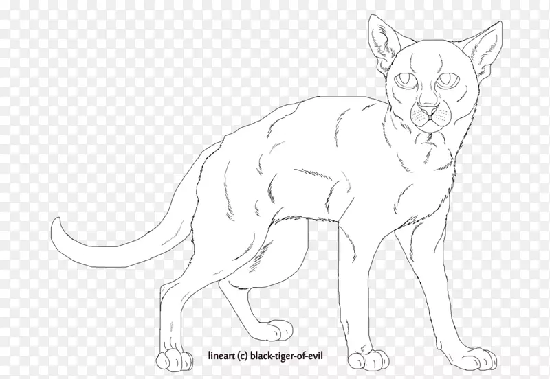 ����è����������Ұ������-è-������