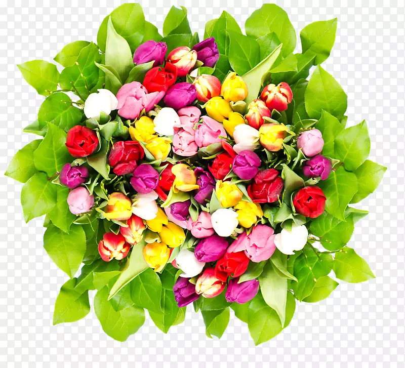 �ʻ�������ɴ��Ӱ����-����-������