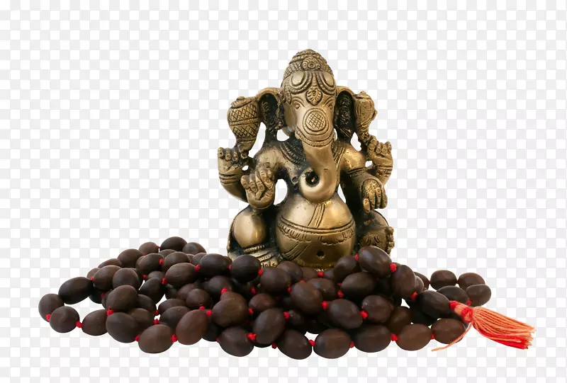 ʳ��-ά���ǿ�-������