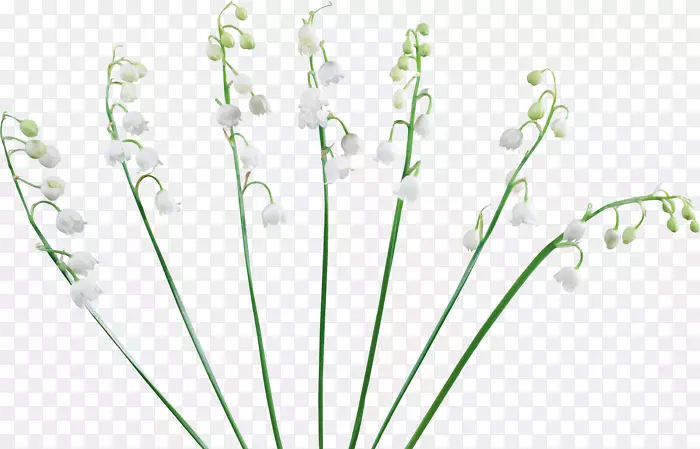 ޹�²ݻ�������л�ֲ�ﾥ�ٺϵ�ɽ��ͼ��-������