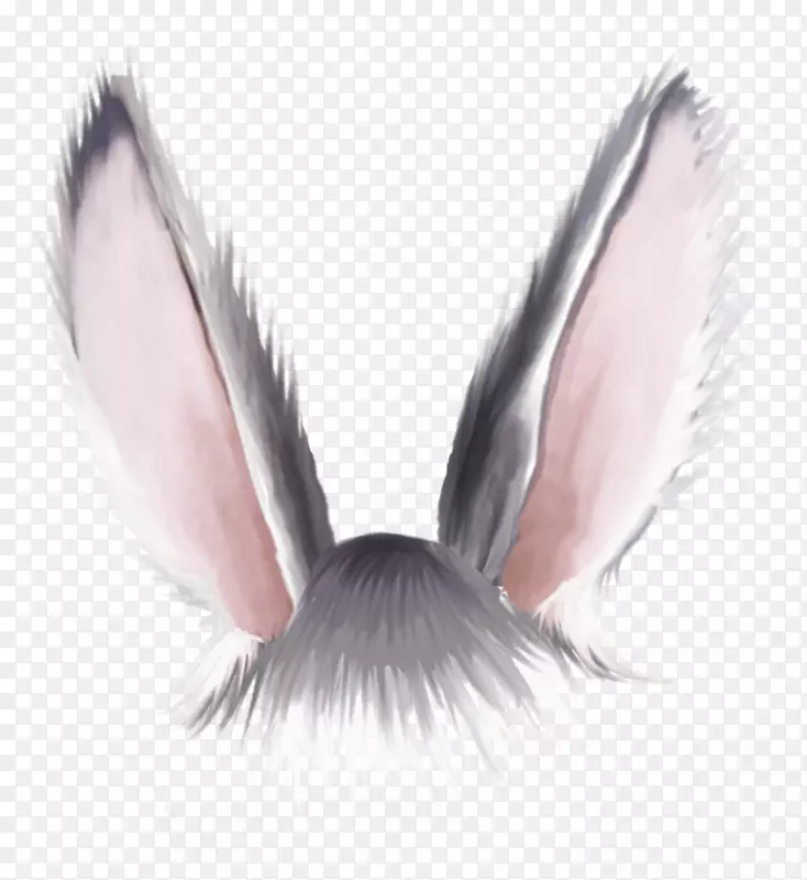 pngͼƬ��Ӱ.EAR-������