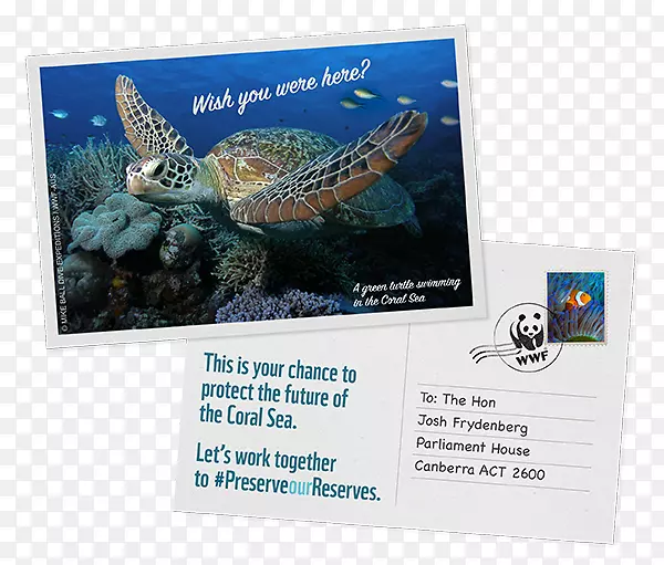 ������Ȼ�����-���޴󱤽�������Ȼ��������-��̬�㼣-������