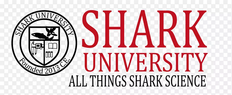 ������ѧ�̱���Ʊ��-���-������