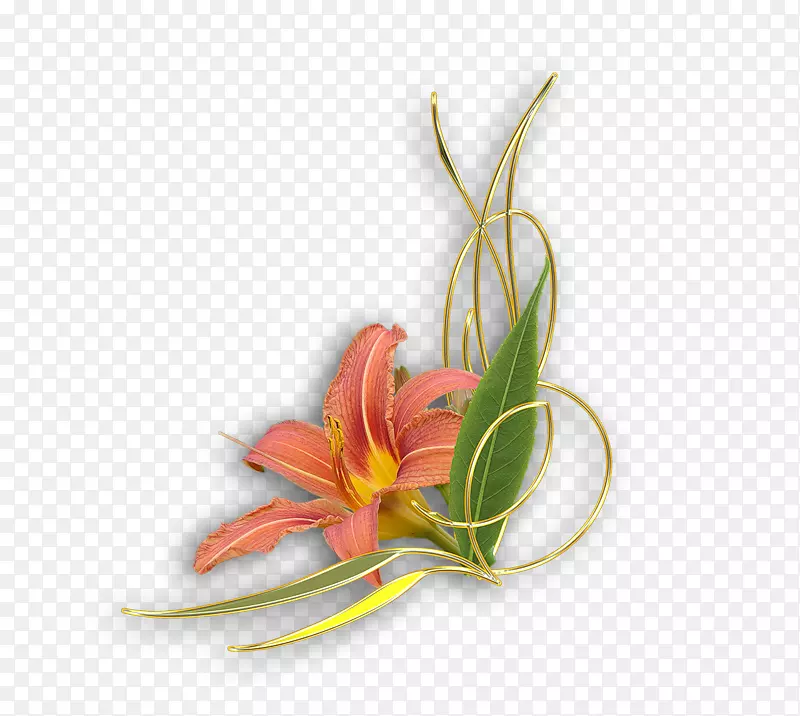 �������pngͼƬ��������Ӱװ��-������