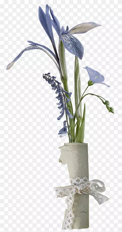 ��������л���ƿ-������