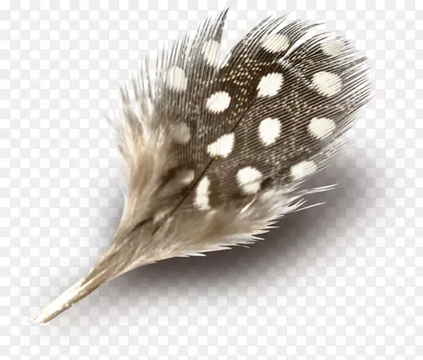 Adobe Photoshop��ëpngͼƬ��������PSD-��ë��-������