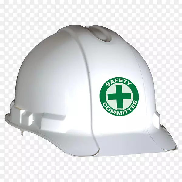 ��ȫñ����ɫ��Ŀ����ͷ��-������