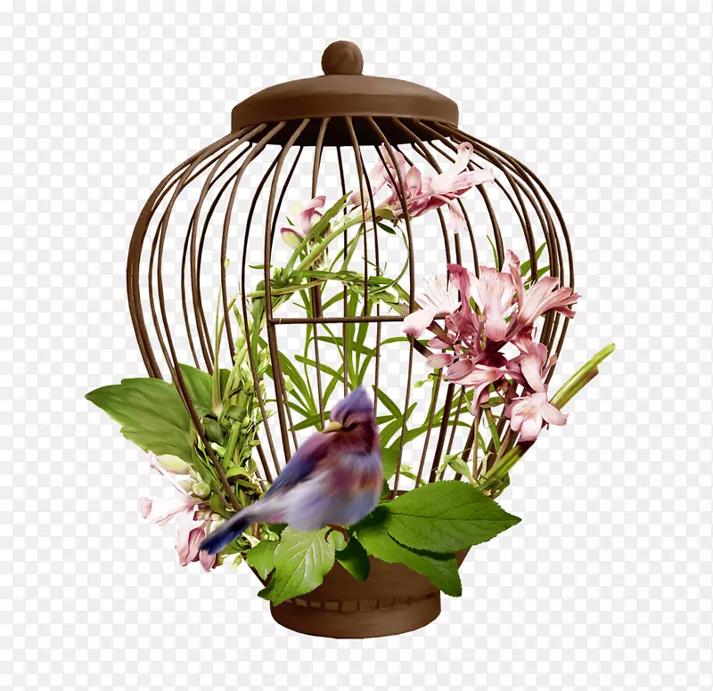 �������Ĳ���pngͼƬ.����������-������