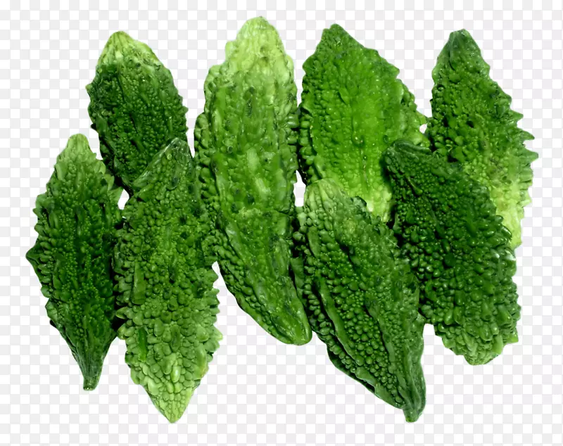 ����߲˿�ζ��«�߲�-������