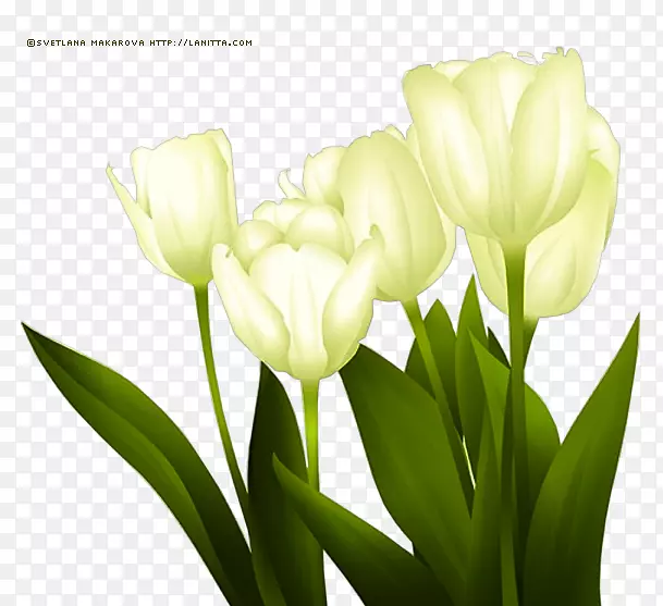 �������л����ͻ���������-������