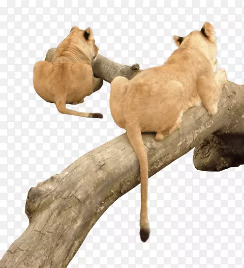 LEANͼ��pngͼƬͼ������-LEN-������