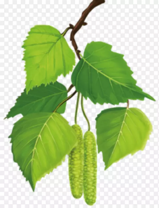 �������4k�ֱ������ܵ���164���-����-������