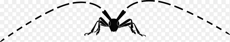 �����ھ�ҵ�����������ھ�-�׳�-������