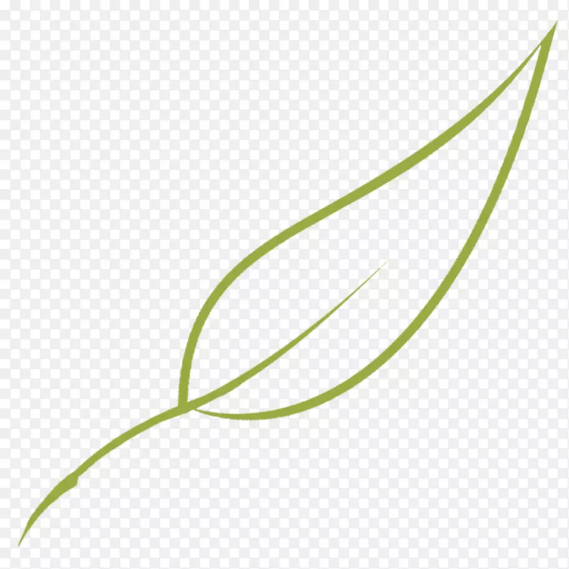 ��Ҷ��ͼ��ֲ�ﾥҶ-������