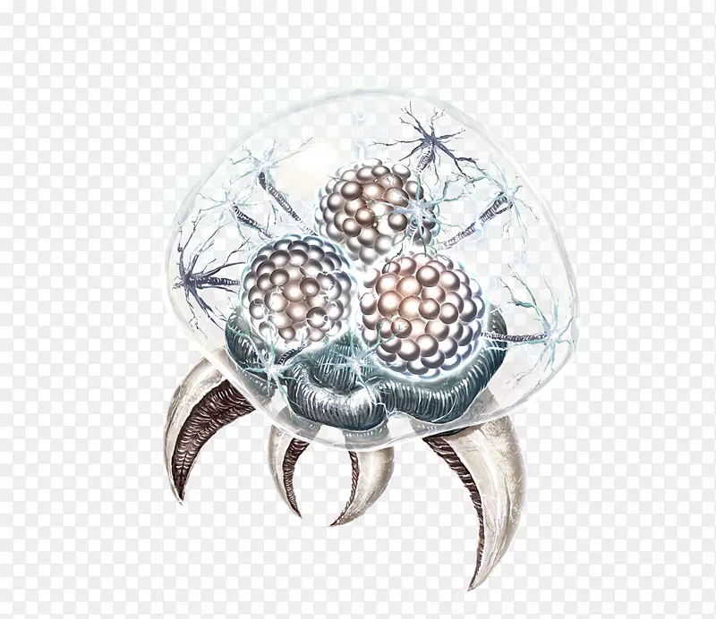 �����鱦.�������ں�ͼ-������