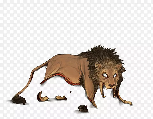 ʨ��è����½������Ұ������-ʨ��-������