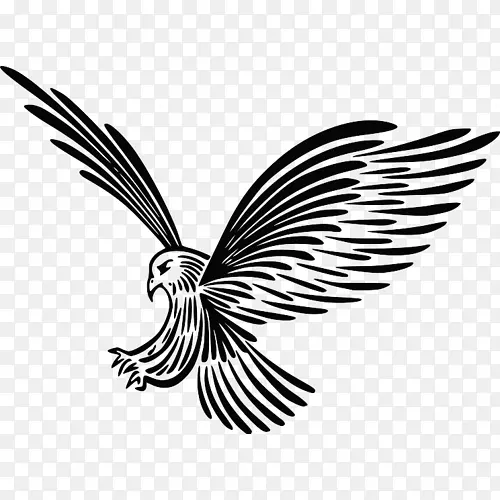 ����๳�������ë����-������