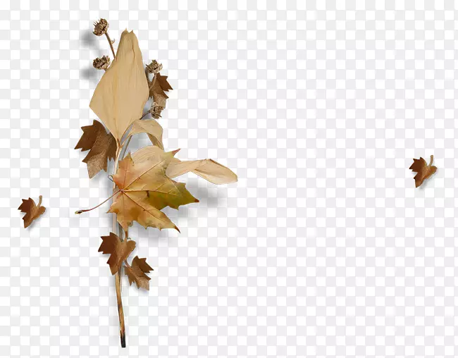 ����Ů��ͯ�ﻭ-������