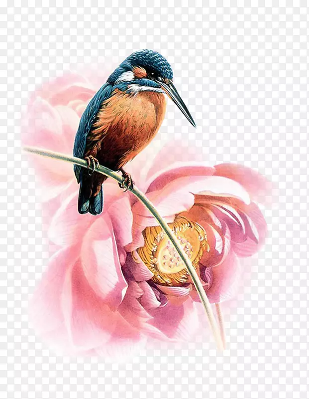 ˮ�ʻ�ͼ��滭������-������