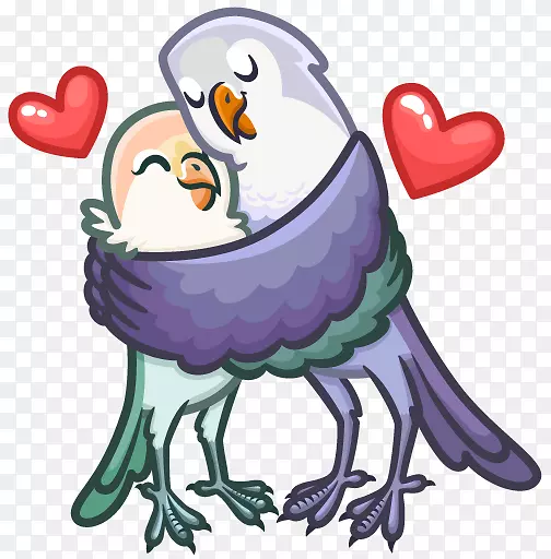 ������ֽ�籨VKontakte-������-������