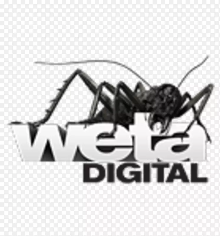 Weta���뾭��ḻ�ĵ��Զ�����־��ָ����-ָ����-������