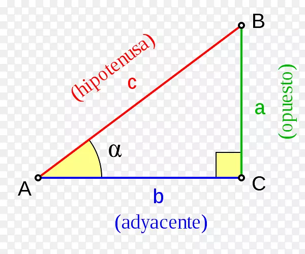 ֱ���������������ҽ�-������