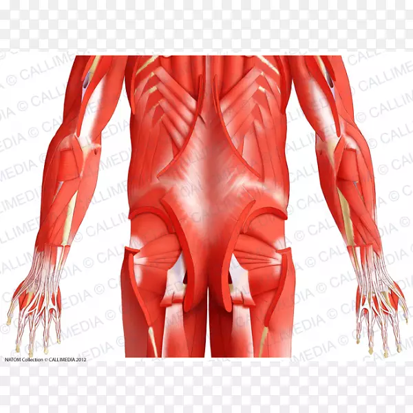 ���輡��ϵͳ����С�μ�-������