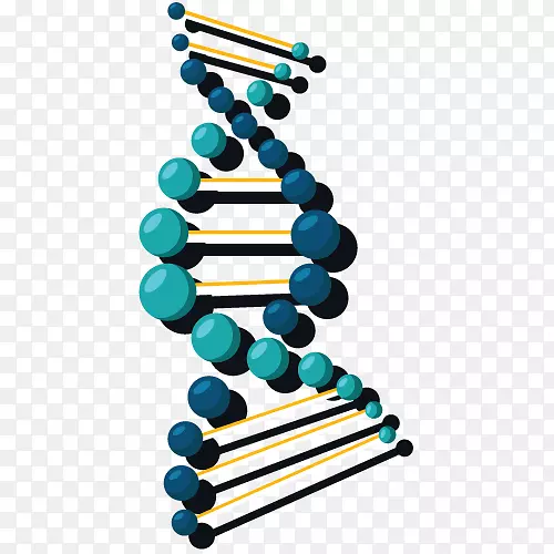 dna����˫���������ѧ-������