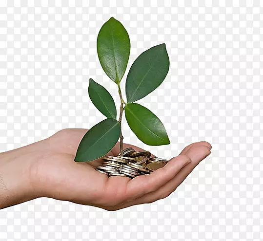 ��ҵ������ι�˾������֯������ҵ�������-������