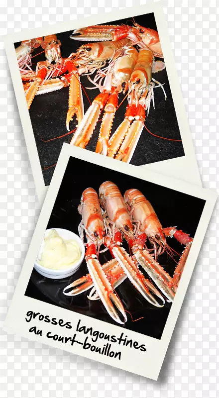 ���ʲ��ײ���-�ؿ�-������