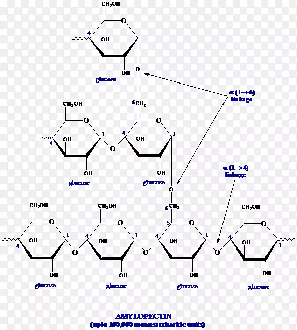 ͼ�ߵ����-������