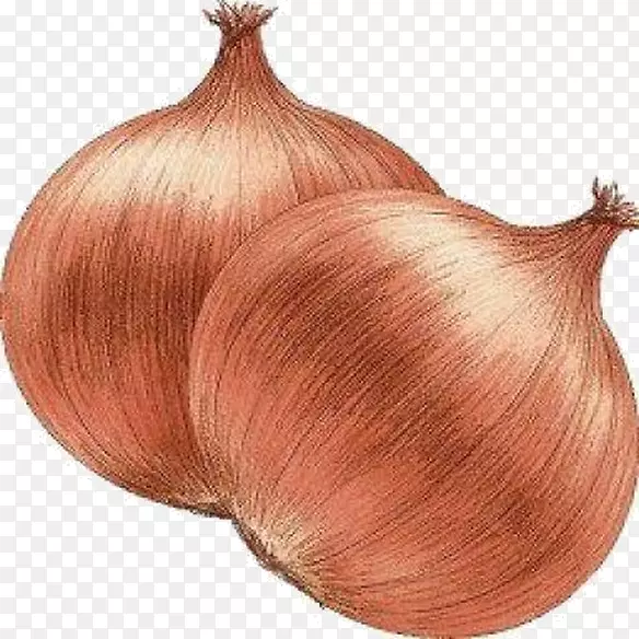 ����м������߲˺���д���-�߲�-������