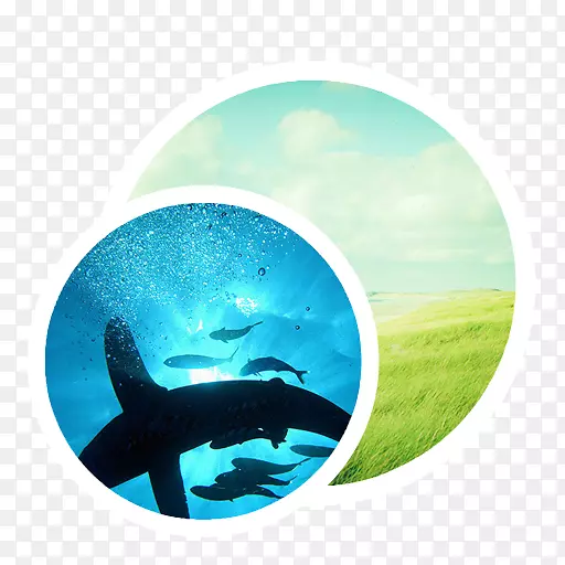 �����л���ˮ-APPԤ��-������