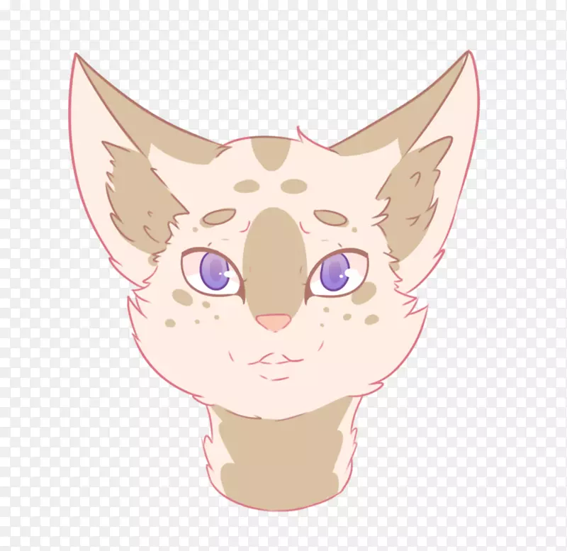 ���룬Сè�������ӣ���ͼ-Сè-������