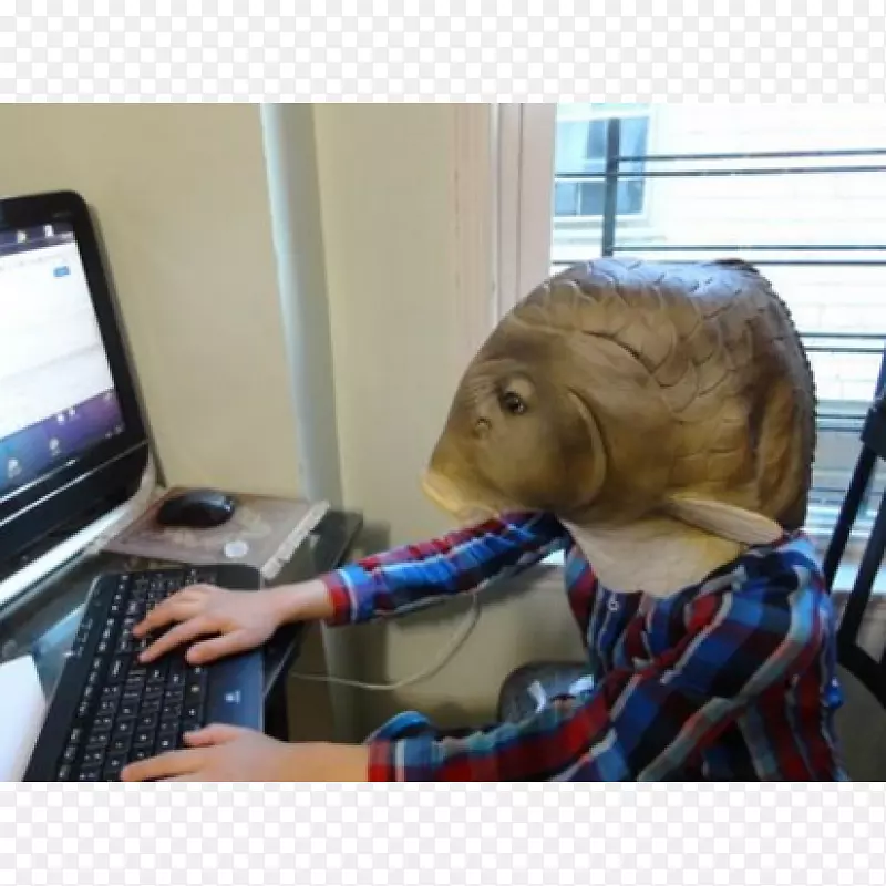 �����ѧ����-������