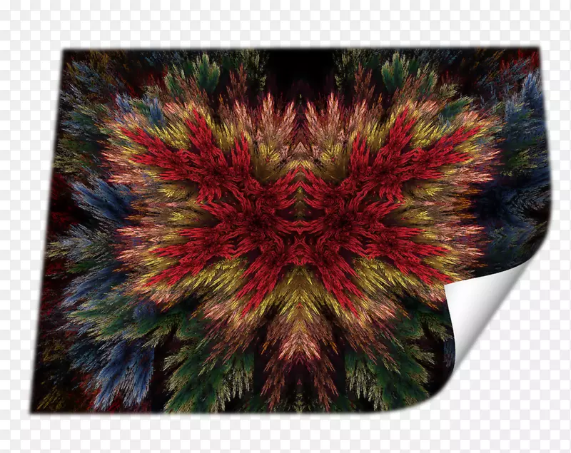 Բ�����������Գ�-����ҳ-������