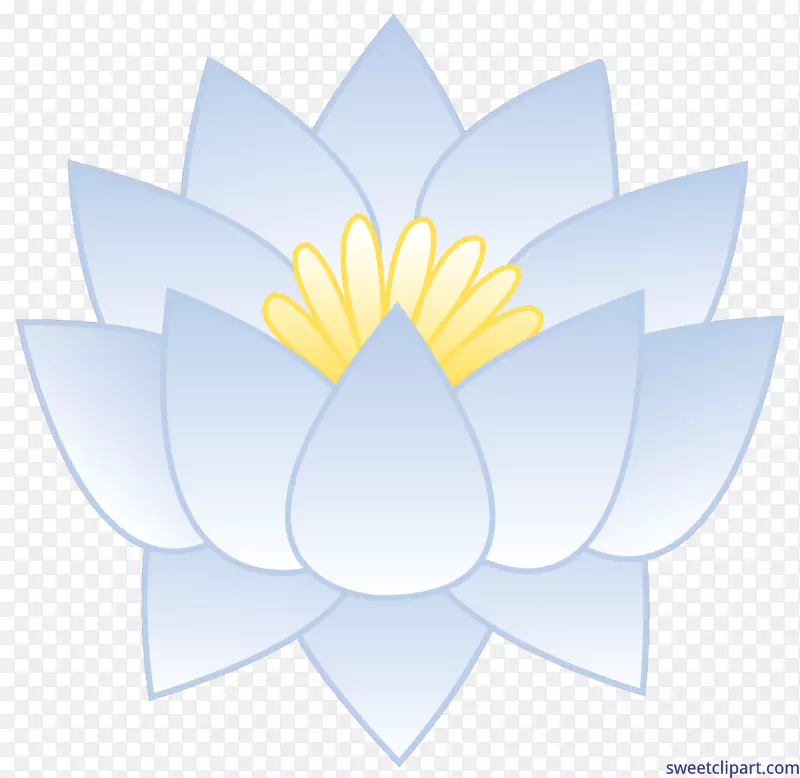 ����������-ֲ��-������