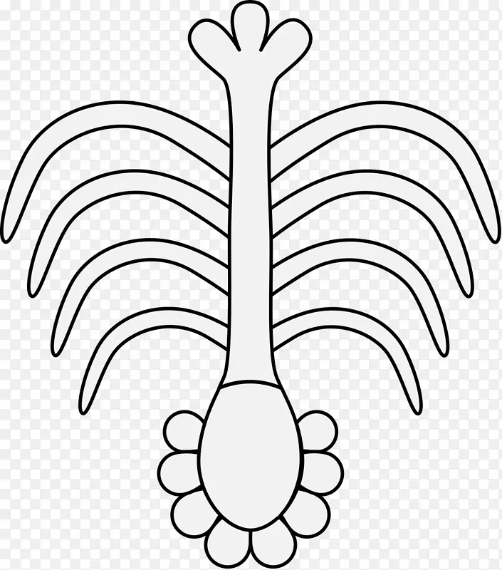 ���������ɼ���Ϊʳ�����.����Ŀ�ͨͼ��-������