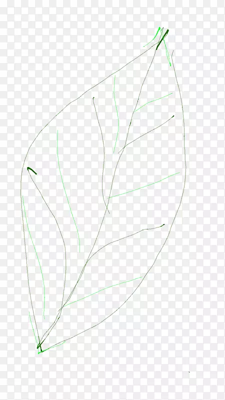 ��Ʒ�����Ҷ����-������