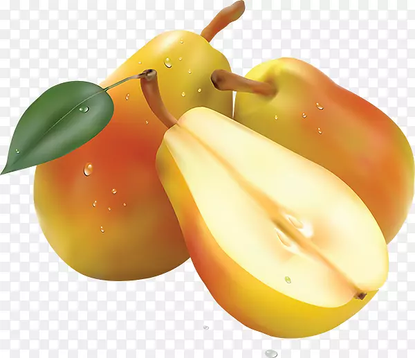 pngͼƬ��������͸����ͼ��-PEAR-������