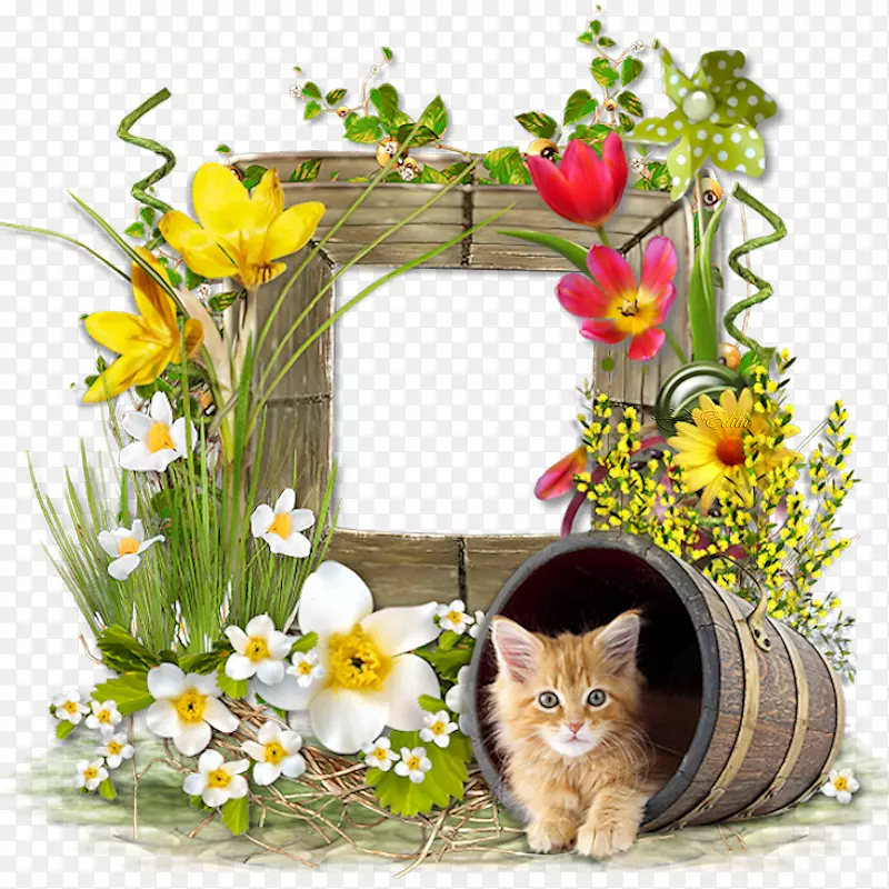 ͼƬgif������adobe PhotoshoppngͼƬ.png lente-������