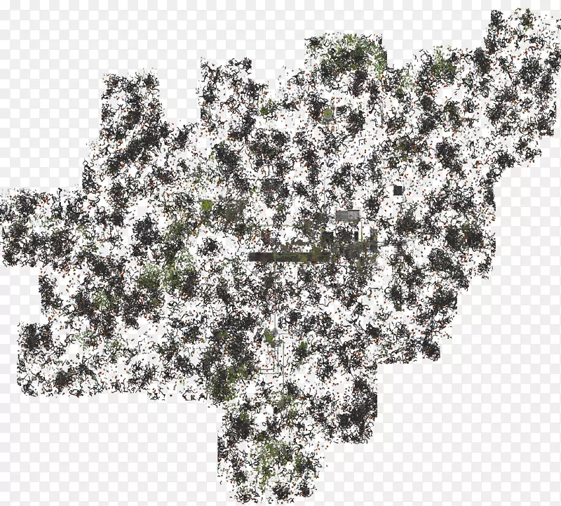 ��ľ����ֲ���ֲ֦��.�̱�ʯ-������