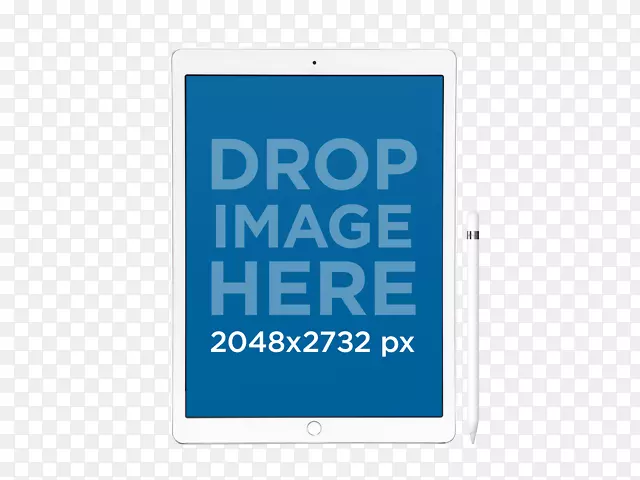 �̱������Ʒ����-ƻ��ģ��-������