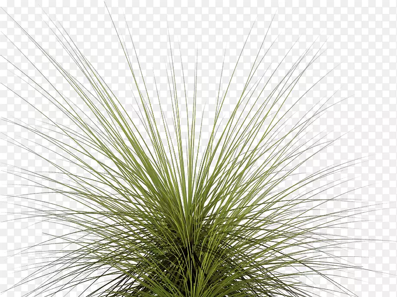 ����ͼ�������-�߲�PNGͼ���ͼƬ-������