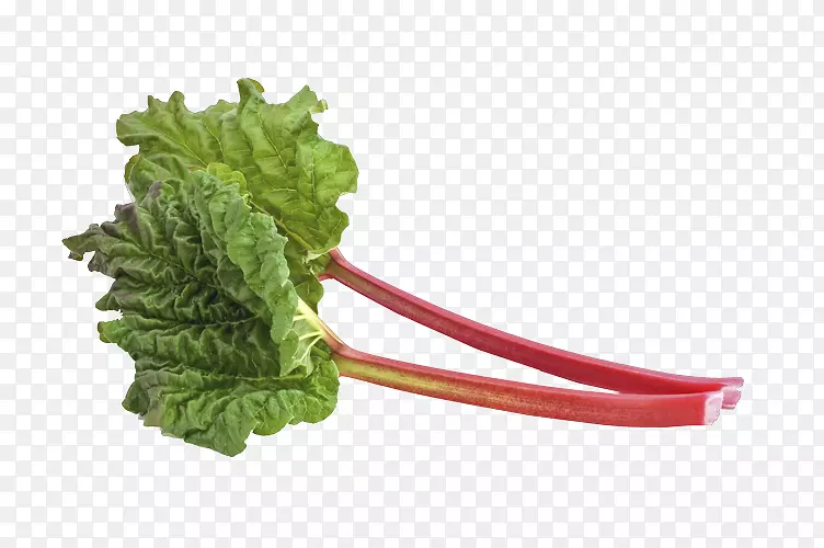 ?԰��ˮԡ�׻�԰���-���-������