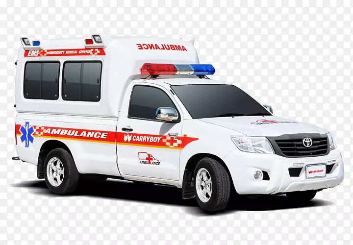 �����Ȼ�������ϣ¬Ƥ������-������