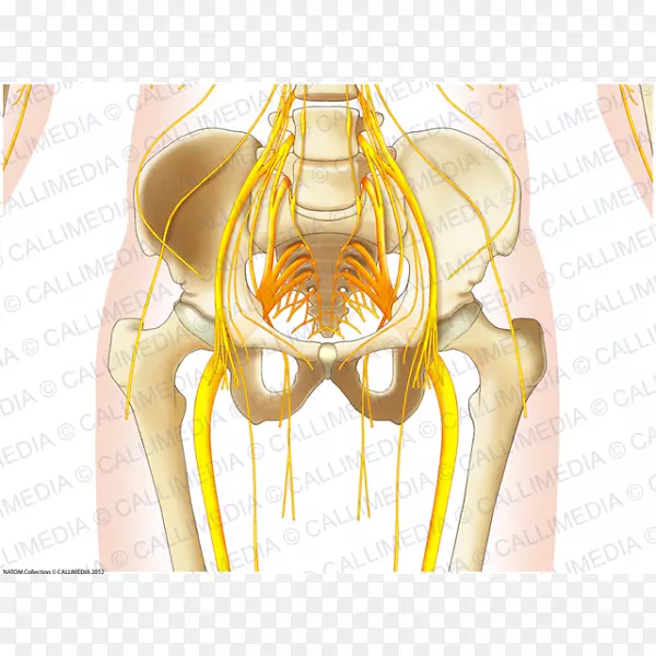 �粿����������ϵͳ�����ֱ�-������